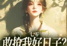 哪里能找到七零：敢抢我好日子？本锦鲤不允许小说的最新更新和免费章节？-闪电文学