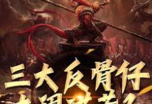 小说《三大反骨仔大闹洪荒？大圣是牵头人》章节免费阅读-闪电文学