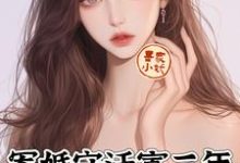 小说《军婚守活寡三年,小军嫂带崽离婚》章节免费阅读-闪电文学