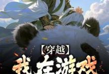 小说《穿越：我在游戏里面当反派》章节免费阅读-闪电文学