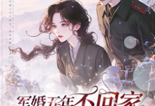 苏清皖小说免费阅读完整版-闪电文学
