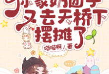 《战爷你家奶团子又去天桥下摆摊了》小糖糖完整版小说免费阅读-闪电文学