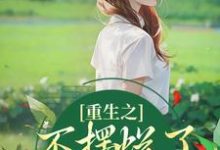 重生之不摆烂了,我要当权臣小说全文哪里可以免费看?-闪电文学