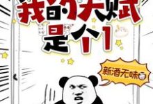 《我的天赋是个1》钟无涯小说免费阅读完整版-闪电文学