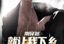 顾云涛小说《刚穿越就让我下乡，这该如何是好》在线阅读-闪电文学