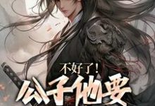 不好了！公子他要挑战皇权小说有没有完结版在线？-闪电文学