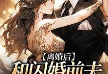 离婚后,和闪婚前夫再相遇小说的免费阅读版本在哪里可以找到?-闪电文学