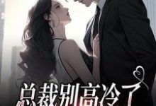 总裁别高冷了,夫人离家出走了小说免费资源,总裁别高冷了,夫人离家出走了在线阅读-闪电文学