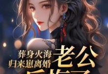 葬身火海归来崽离婚,老公后悔了小说的无弹窗阅读体验,寻找免费阅读网站-闪电文学