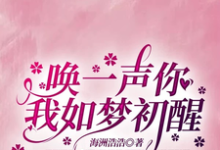 唤一声你我如梦初醒苏灵雨,唤一声你我如梦初醒章节在线阅读-闪电文学