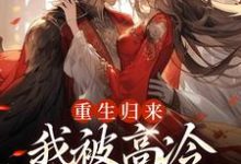 小说《重生归来，我被高冷皇帝宠上天》章节免费阅读-闪电文学