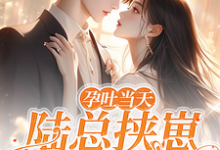 小说《孕吐当天，陆总挟崽逼我结婚》在线章节阅读-闪电文学