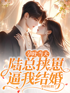 小说《孕吐当天，陆总挟崽逼我结婚》在线章节阅读
