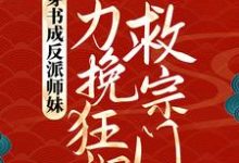 叶灵泷完整版小说免费阅读-闪电文学