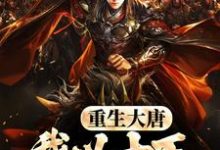 哪里可以免费找到重生大唐,我以十万铁骑镇边疆?-闪电文学