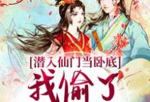 潜入仙门当卧底,我偷了谪仙的心免费阅读,潜入仙门当卧底,我偷了谪仙的心宋时卿谢寂玉-闪电文学