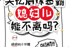 失忆后嫁恶霸,媳妇儿能不离吗?小说有没有完整的免费版本在线阅读?-闪电文学