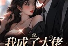 《惊，我成了大佬炮灰前妻！》小说章节列表免费试读，时之颜小说在线阅读-闪电文学
