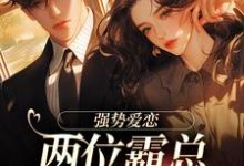 纵意沉沦这本小说怎么样?免费在线阅读试试-闪电文学