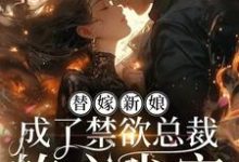 小说《替嫁新娘,成了禁欲总裁的心尖宠》在线章节阅读-闪电文学