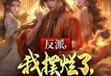 反派,我摆烂了,你们怎么急了完整版小说免费阅读,反派,我摆烂了,你们怎么急了小说-闪电文学