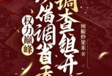 权力巅峰：从借调省委调查组开始（梁兴瑞）完整版在线免费阅读-闪电文学
