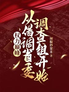 权力巅峰：从借调省委调查组开始（梁兴瑞）完整版在线免费阅读