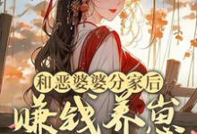 小说《和恶婆婆分家后，赚钱养崽旺全家》在线章节阅读-闪电文学