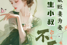 已完结小说《夫君欲贬妻为妾,重生小叔不干了》章节在线阅读-闪电文学
