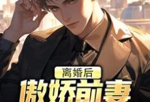 离婚后，傲娇前妻被疯狂打脸小说阅读，离婚后，傲娇前妻被疯狂打脸完结版-闪电文学