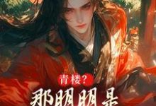 青楼?那明明是本皇子的根据地免费阅读,青楼?那明明是本皇子的根据地章节目录-闪电文学