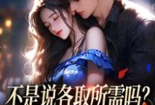 不是说各取所需吗？你咋还要我的爱霁禾时骞安，不是说各取所需吗？你咋还要我的爱章节在线阅读-闪电文学