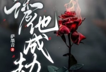 诱他,成劫!沈子灵小说免费阅读-闪电文学
