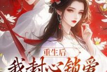 重生后,我封心锁爱,皇帝请离开完整版小说,重生后,我封心锁爱,皇帝请离开苏婉宁萧煜-闪电文学