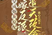 穿成炮灰原配,换嫁反派逆天改命小说有没有完结版在线?-闪电文学