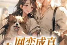 求网恋成真,这小子乐癫了小说免费资源-闪电文学