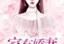 家有娇妻小说有没有完整的免费版本在线阅读？-闪电文学