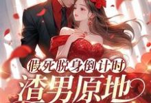 假死脱身倒计时,渣男原地哭成狗陆焉知宁元白,假死脱身倒计时,渣男原地哭成狗在线无弹窗阅读-闪电文学