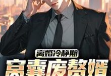 免费在线阅读离婚冷静期,窝囊废赘婿黑化了小说的正规网站有哪些?-闪电文学