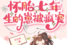 沈瑞曦完整版《皇帝绝嗣?怀胎七年生的崽被疯宠》小说免费阅读-闪电文学