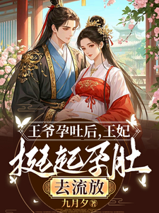 王爷孕吐后，王妃挺起孕肚去流放沈依沐，王爷孕吐后，王妃挺起孕肚去流放小说免费阅读