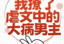 小说《为了活命，我撩了虐文中的大病男主》完整版章节免费阅读-闪电文学