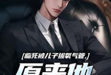 临死被儿子拔氧气管，原来他非亲生林子阳陆晓雪小说大结局免费试读-闪电文学