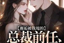 《邂逅被我甩的总裁前任，他又爱了！》小说陆挽江远舟章节章节免费在线阅读-闪电文学
