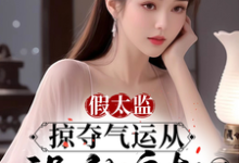 《假太监:掠夺气运从祸乱皇朝开始》陆景小说免费阅读完整版-闪电文学