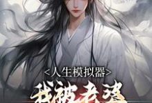 小说《人生模拟器：我被老婆逼成世间极境》在线章节阅读-闪电文学