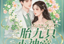 一胎九只小神童,萧爷的独家宠爱楚聆月小说免费阅读-闪电文学