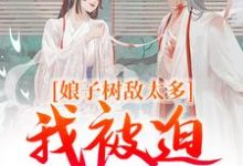 娘子树敌太多，我被迫上位了小说的无弹窗阅读体验，寻找免费阅读网站-闪电文学