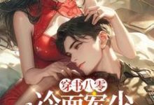 温念陆寒铮小说穿书八零：冷面军少夜夜来敲门章节免费阅读-闪电文学