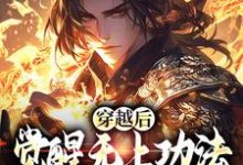 完整版的穿越后,觉醒无上功法的我要复仇了小说在哪里可以免费读到?-闪电文学